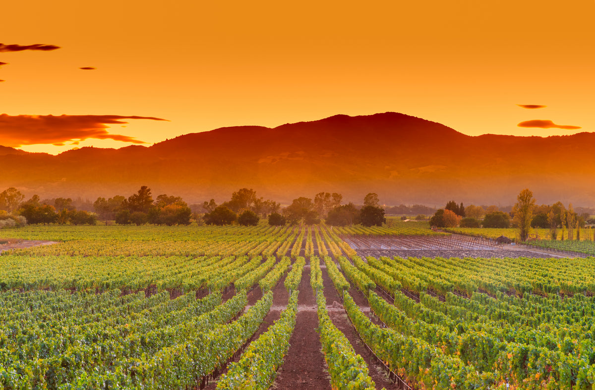 Napa Valley Boatshed Wine Loft